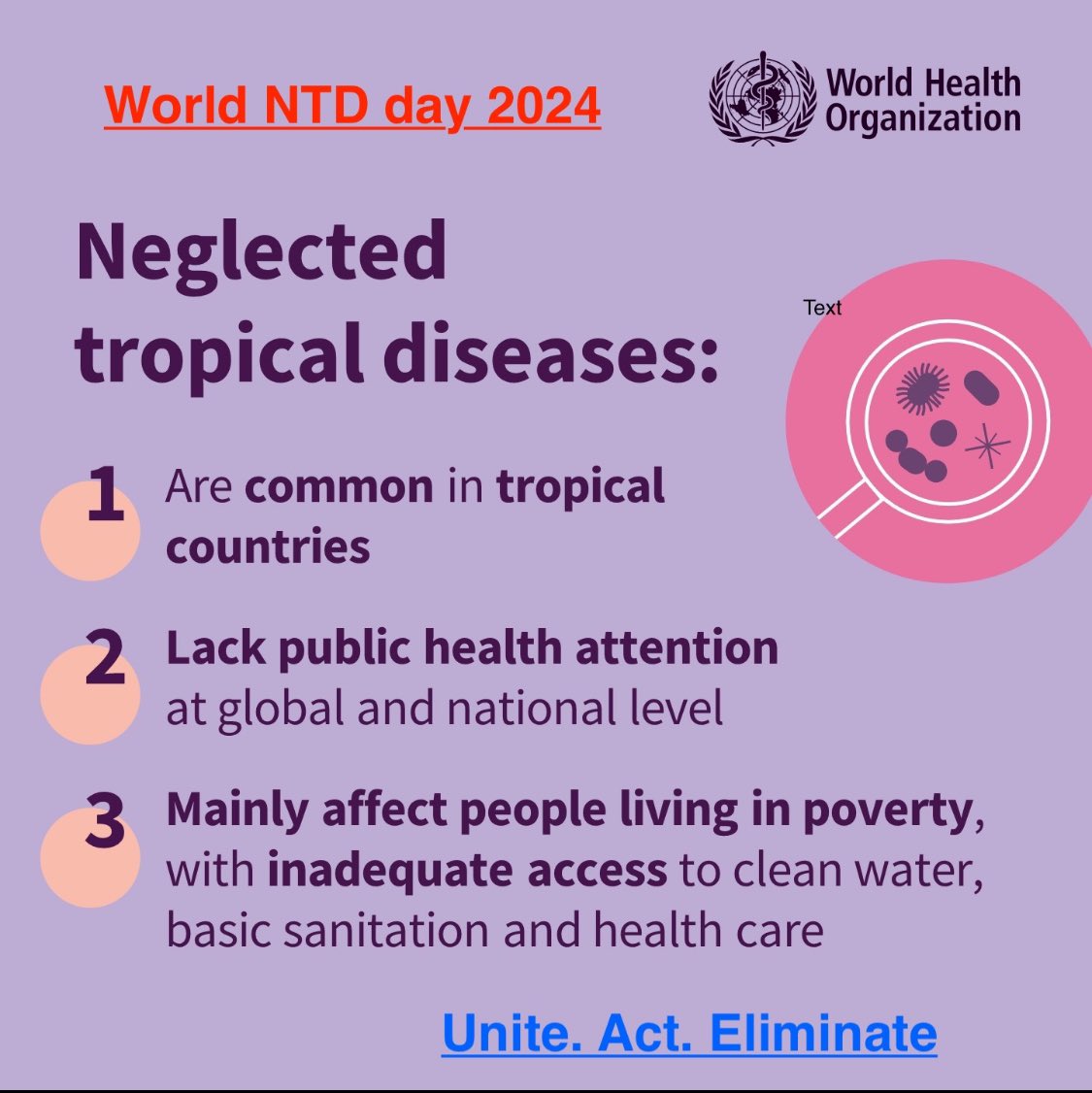 Read more about the article World NTD day 2024